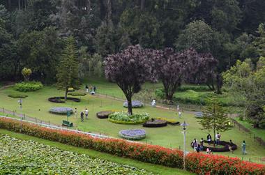 Botanical Garden, Ooty_DSC5605_H600